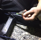 Не работает задняя консоль управления и звук во всем автомобиле.